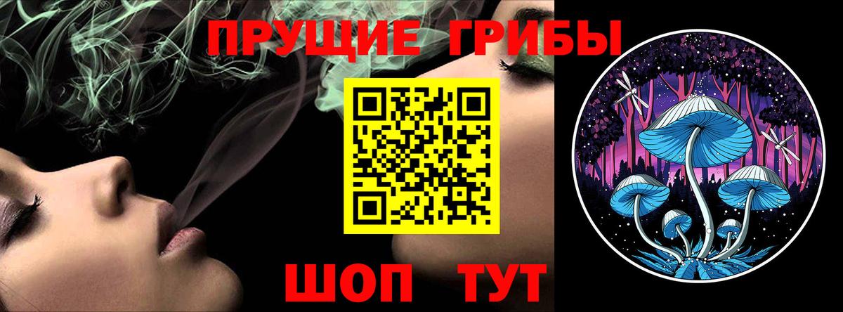 Псилоцибиновые грибы мухоморы  где продают наркотики  Торжок  Вход с VPN 